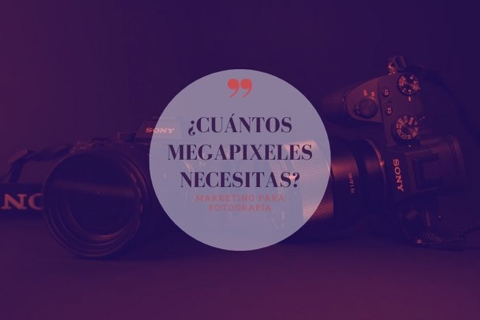 ¿Cuántos megapixeles necesita una cámara profesional?